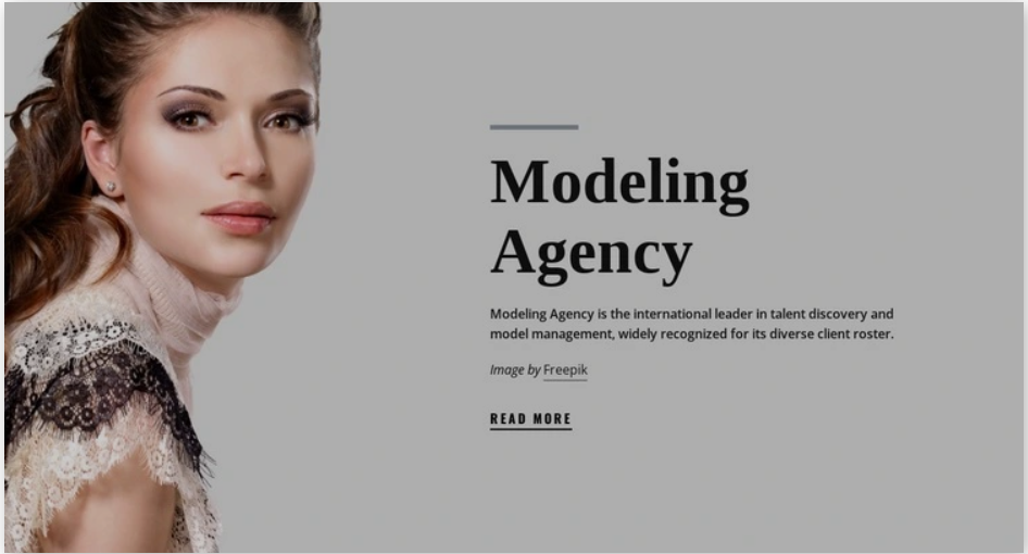 Top Reasons Why Model Agencies Use WordPress Themes