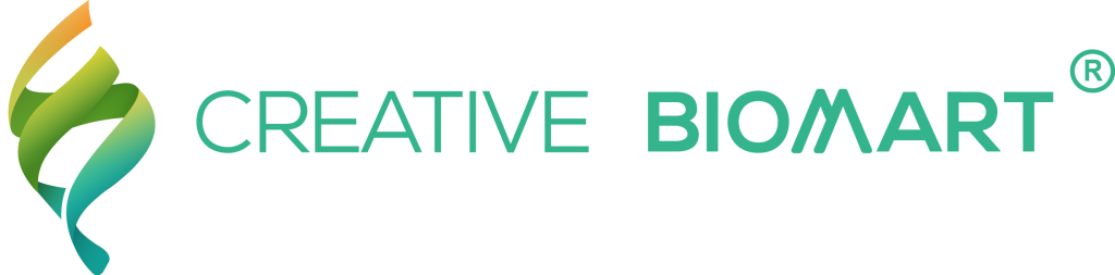 CCR1 Protein: A Chemokine Receptor at the Crossroads of Immunity and Disease
