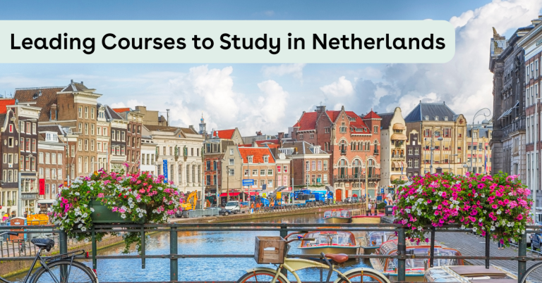Top Courses to Study in Netherlands for Global Careers