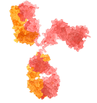 Nanoparticle Strategies for Precision Macrophage Therapy