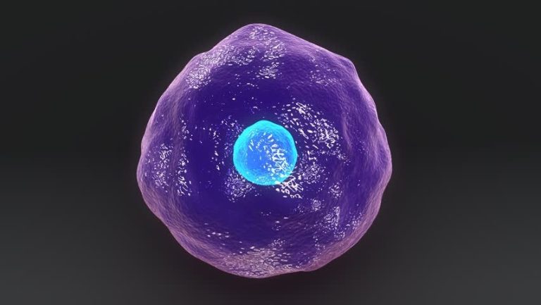 CAR-T Therapy’s Next Chapter: Tackling Hemophilia and Transplant Rejection