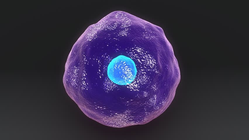 CAR-T Therapy’s Next Chapter: Tackling Hemophilia and Transplant Rejection