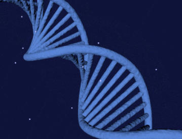 From TCR Signals to Manufacturing Lines: The Practical Side of Advancing Immunotherapy