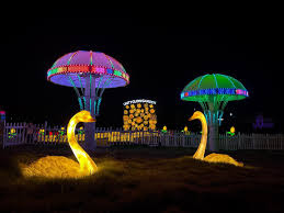 What to Expect at the Statue of Unity Glow Garden at Night