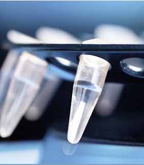 Why Reliable Complement Assays Are Becoming Essential for Drug Development