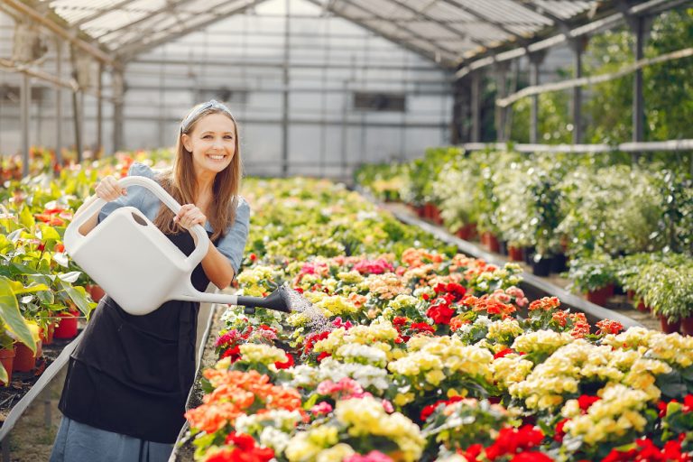 Comprehensive Guide to Backyard Greenhouse Solutions for Productive Gardens