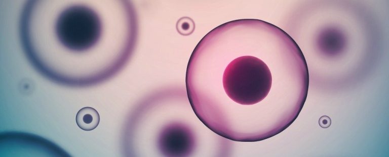 Bridging Bench and Clinic: How Comprehensive iPSC Assays Enhance Confidence in Stem Cell Research