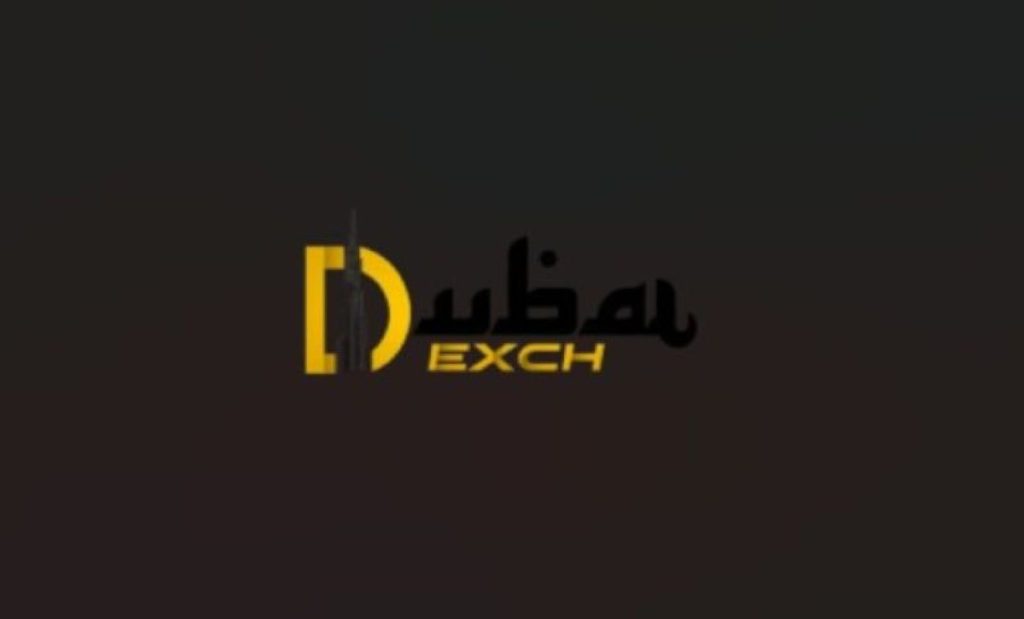 DubaiExch247 Platform Review: Access, Features, and User Insights